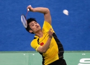 关于复仇之战！林丹率领法国队成功险胜对手的信息